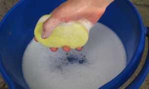 Как в домашних условиях почистить изделие из белой кожи от грязи: чистящие средства и способы