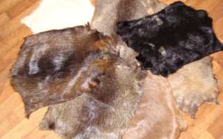 Шуба из меха нутрии: фото и характеристики, плюсы и минусы изделия, особенности ухода