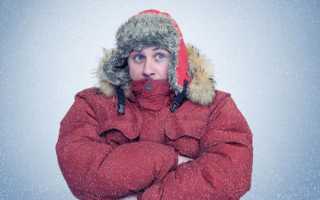 Какие бывают теплые наполнители для курток и пуховиков: виды и характеристики самых лучших утеплителей для зимней одежды