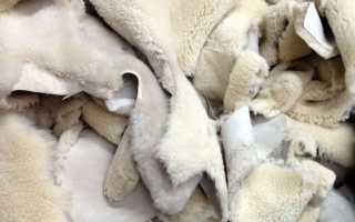 В чем разница между мутоном и цигейкой и чем отличаются шубы из овчины от изделий из овечьей шерсти?