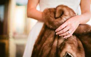 Как почистить шубу из норки или другого натурального меха в домашних условиях быстро и эффективно?