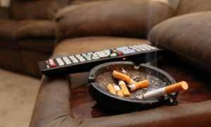 Как убрать с одежды – пальто, пуховика и других изделий – запах табака: стирать вещь или можно обойтись без стирки?