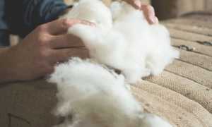 Состав и свойства кашемира, отличия настоящей ткани от подделки, особенности ухода за изделиями из этого материала