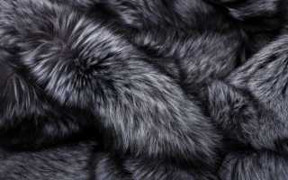 Какой мех лучше, дороже и теплее – песца или чернобурки, как отличить полярную лису от чернобурой по внешнему виду?