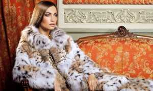 Из какого меха шьют самые дорогие шубы и что дороже – норка, куница, соболь или шиншилла?
