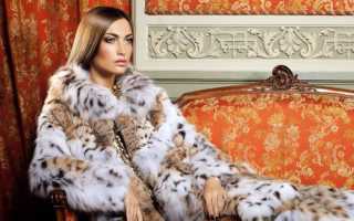Из какого меха шьют самые дорогие шубы и что дороже – норка, куница, соболь или шиншилла?