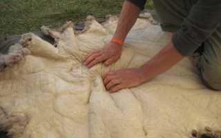 Как называются разновидности овчины и чем они отличаются: особенности астрагана, мутона, стриги и других видов меха