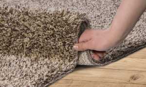 Как почистить палас, не снимая его с пола, и можно ли постирать ковер или дорожки в домашних условиях в квартире?