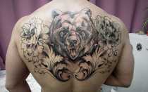 Значение татуировки медведя для мужчин + фотоподборка