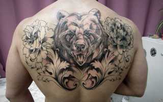 Значение татуировки медведя для мужчин + фотоподборка