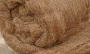 Плюсы и минусы подушки из верблюжьей шерсти: чем этот наполнитель лучше бамбука или лебяжьего пуха?