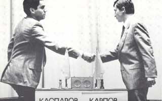 Предал Марину Неелову и не признал дочь: личная жизнь Гарри Каспарова