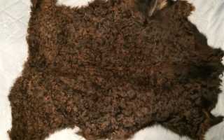 Что это такое – мерлушка, чем этот мех отличается от смушки или каракуля, какие его разновидности существуют?