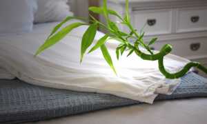 Свойства бамбукового волокна: что это такое, какие материалы из него делают, каковы характеристики тканей и наполнителя?