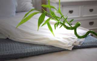 Свойства бамбукового волокна: что это такое, какие материалы из него делают, каковы характеристики тканей и наполнителя?