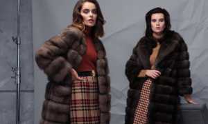 Какой мех дороже – соболь или куница, в чем между ними разница, чем они отличаются от норки или хорька?