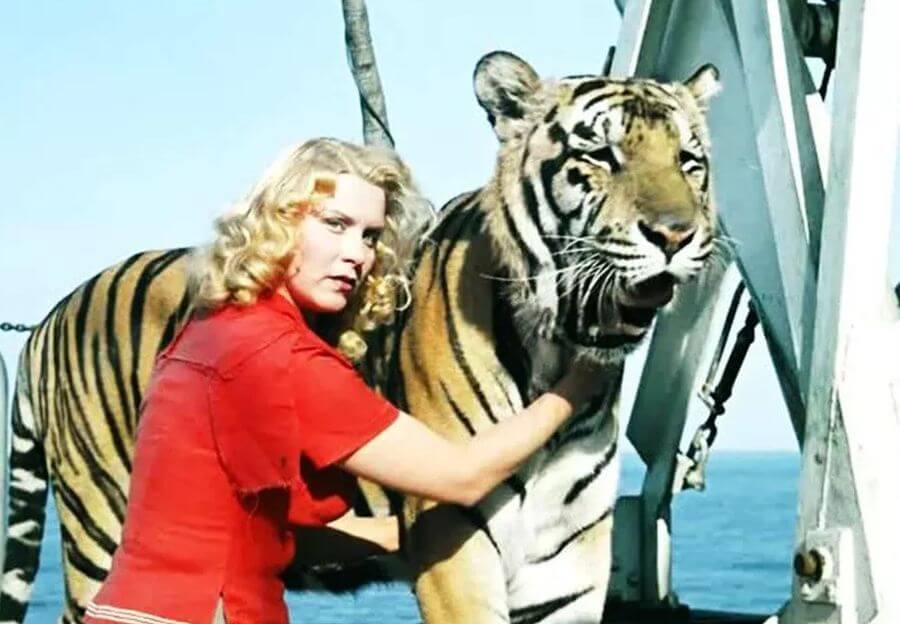 маргарита назарова полосатый рейс