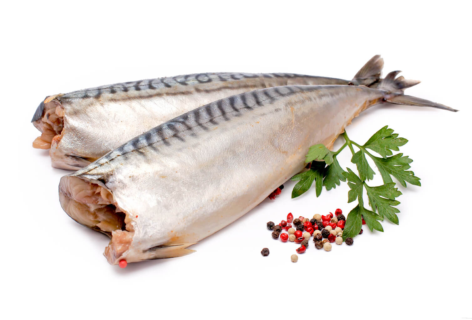 засолить скумбрию в домашних условиях рецепты