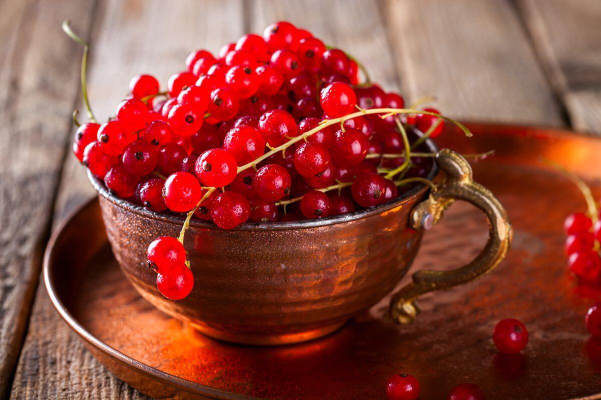 смородиновая диета