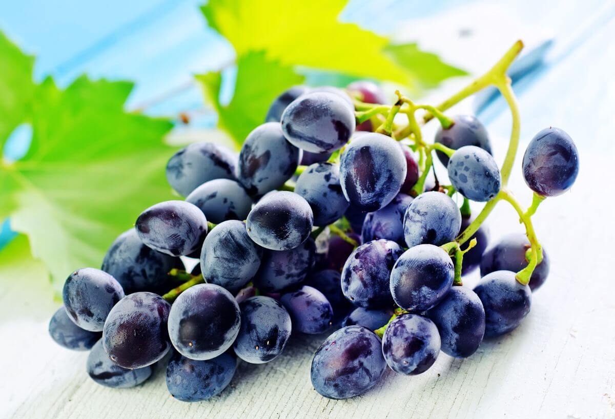 разгрузочный день на винограде