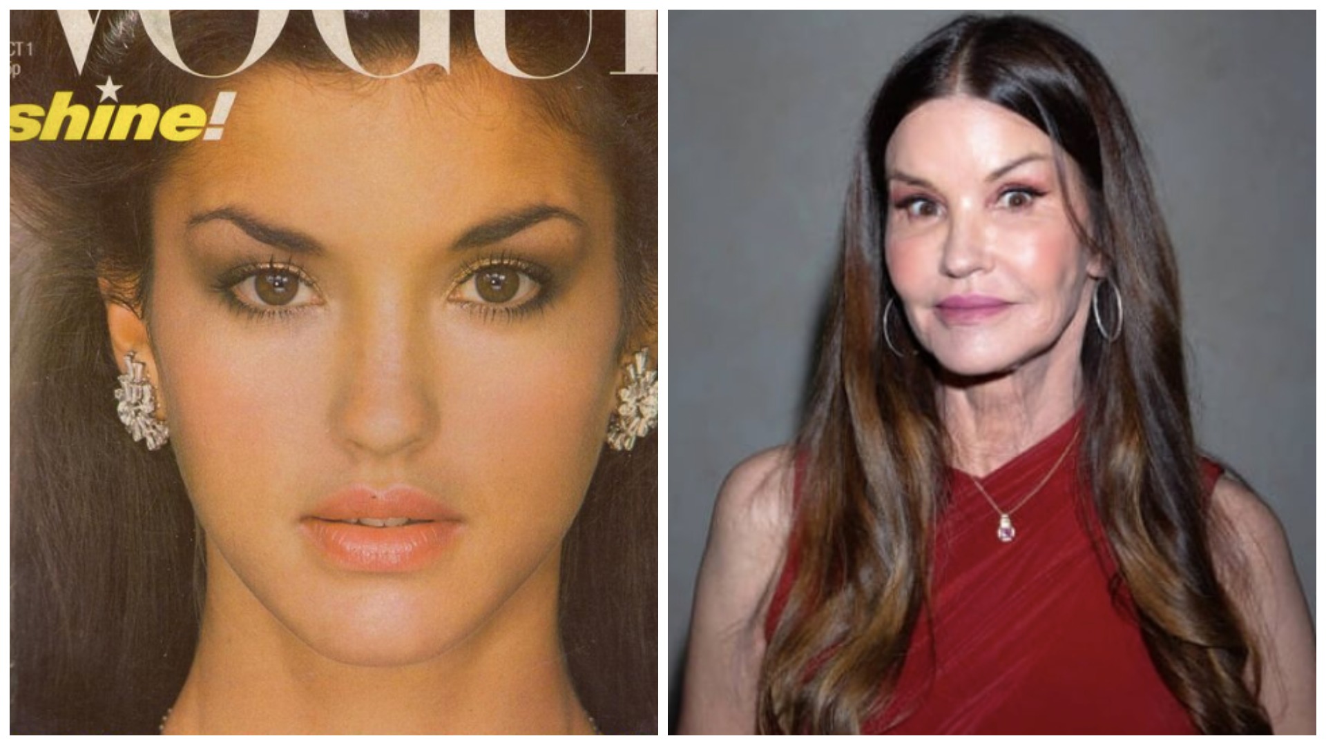 Дженис Дикинсон