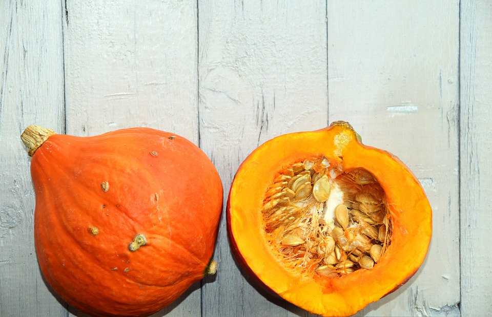 какую тыкву выбрать