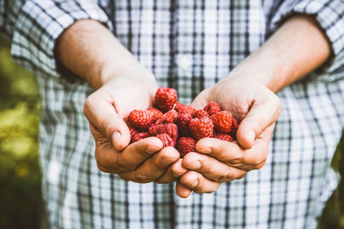 польза малины для мужчин
