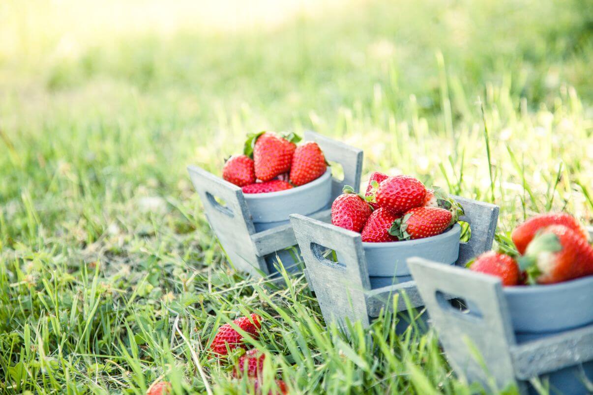 клубника польза